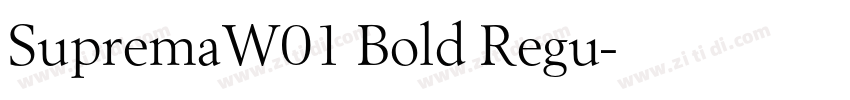 SupremaW01 Bold Regu字体转换